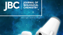 Cover of the Journal of Biological Chemistry